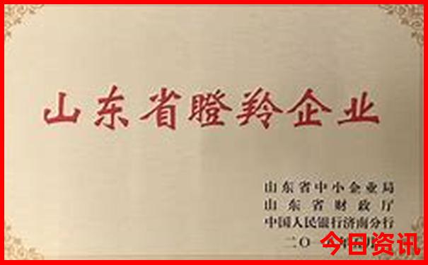 2025年新澳门天天开彩全年资料